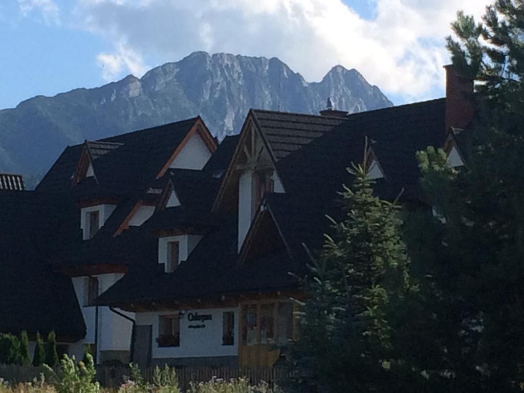 Cubryna Appartement Zakopane Buitenkant foto