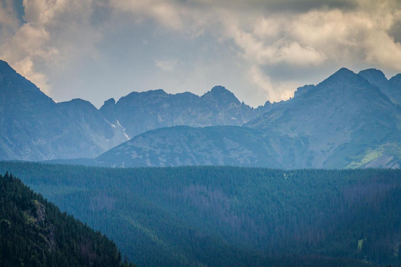 Cubryna Appartement Zakopane Buitenkant foto